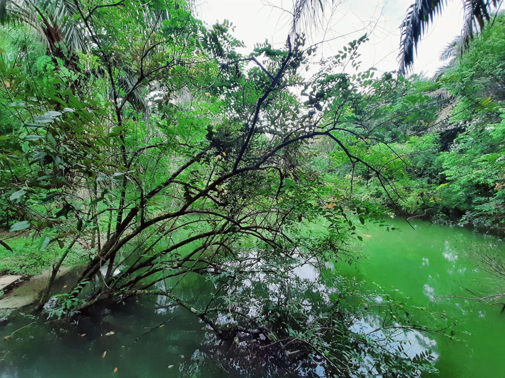 Tuaprodhome Khao Lak Chambre photo