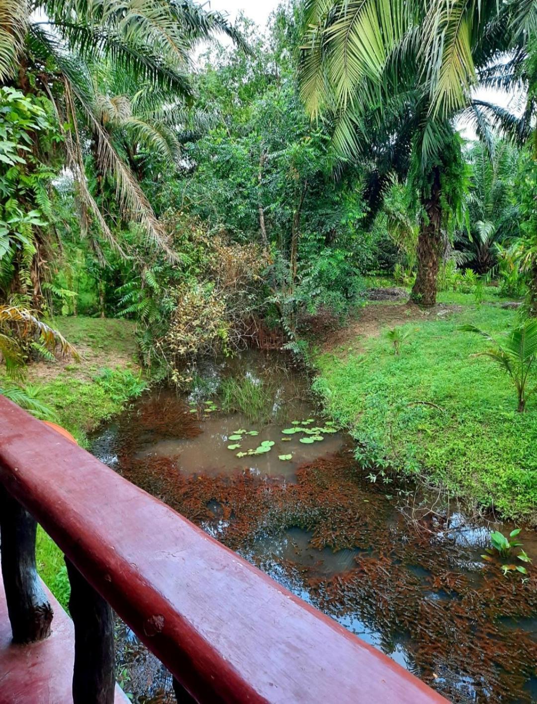 Tuaprodhome Khao Lak Chambre photo