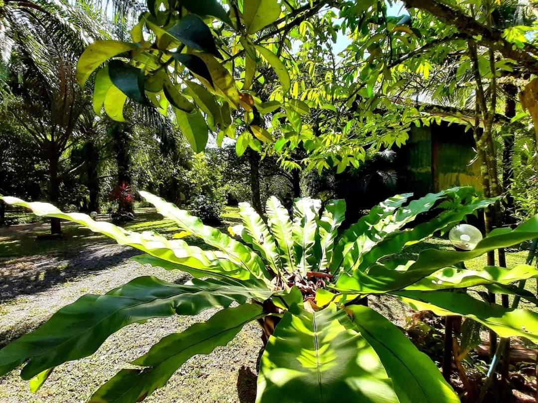 Tuaprodhome Khao Lak Chambre photo