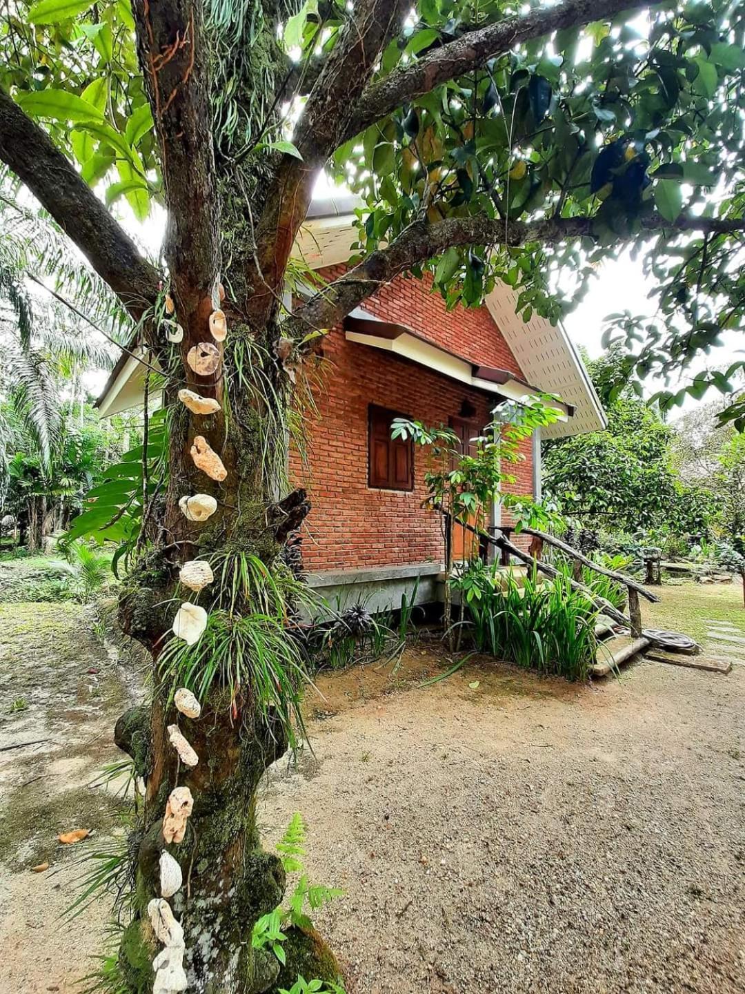 Tuaprodhome Khao Lak Chambre photo
